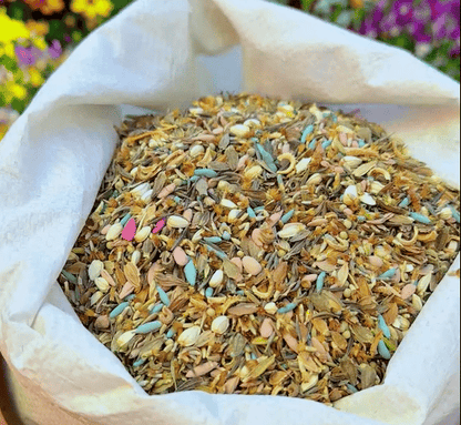 NordicBloom™ – Vibrant Flower Mix with Over 60 Varieties (1000 Seeds)