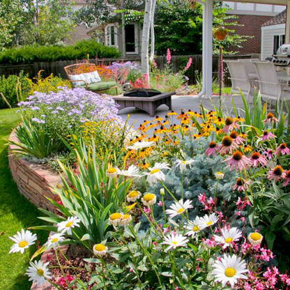 NordicBloom™ – Vibrant Flower Mix with Over 60 Varieties (1000 Seeds)